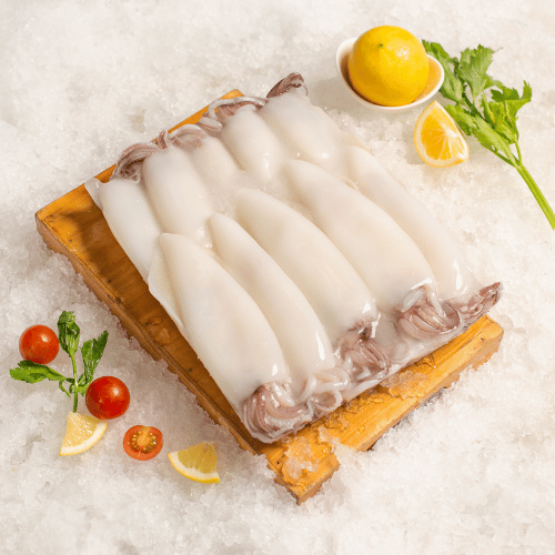 Loligo Squid Tube.jpg